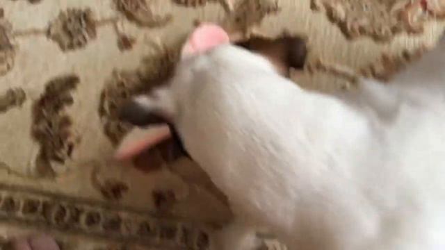 Мнимая защита смотреть онлайн