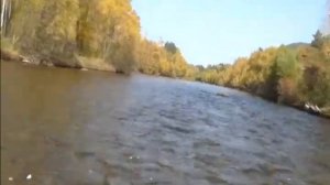 лодка абакан 380  сузуки 30 водомет