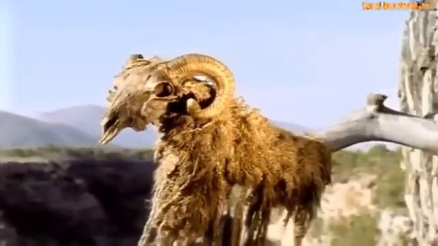 Filme Zeus Filme Completo Dublado Filme De Ação E Aventura