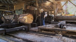 как работают современные пилорамы