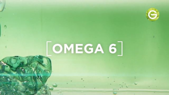 Garnier – Body Superfood krema za telo [avokado ulje + omega 6] смотреть онлайн