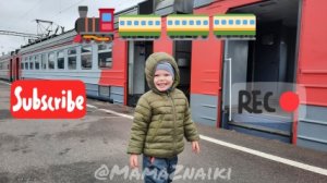 Поезда видео / Катаемся на электричке /Поезд едет