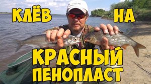 КЛЁВ на красный ПЕНОПЛАСТ. Плотва, голавль, чехонь на фидер.