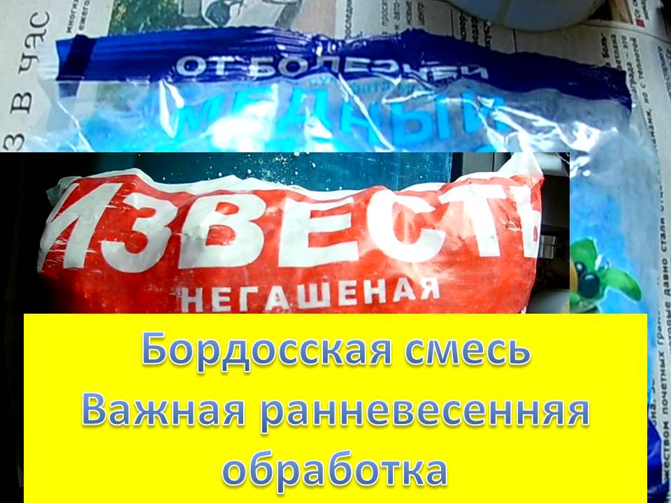 0:57 / 3:27 До распускания почек ВАЖНО провести обработку БОРДОССКОЙ СМЕСЬЮ плодовых деревьев и смотреть онлайн