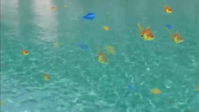 Видеофон море и светлое и рыбки /Videophone Sea And Light And Fish