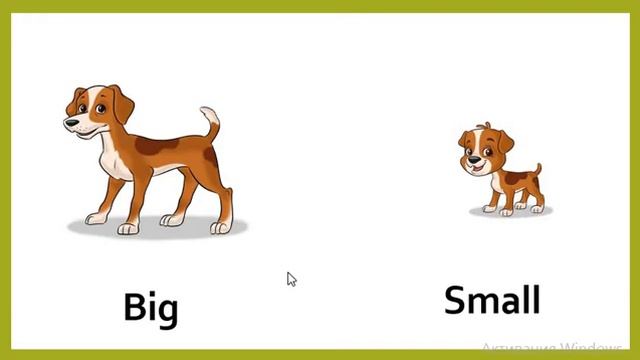 Smiles 1 Module 2 Tall Short смотреть онлайн