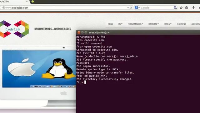 Connect To FTP From Linux Terminal