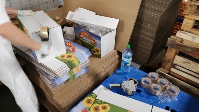 Работа в Польше 2019! Или как УКРАИНЦЫ ОБМАНЫВАЮТ на Польской Границе! смотреть онлайн