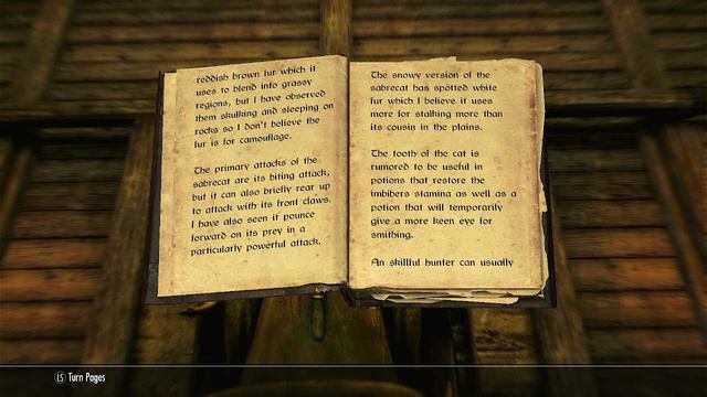 Reading Cats of Skyrim | The Elder Scrolls | Skyrim | Cat Nap Chronicles смотреть онлайн