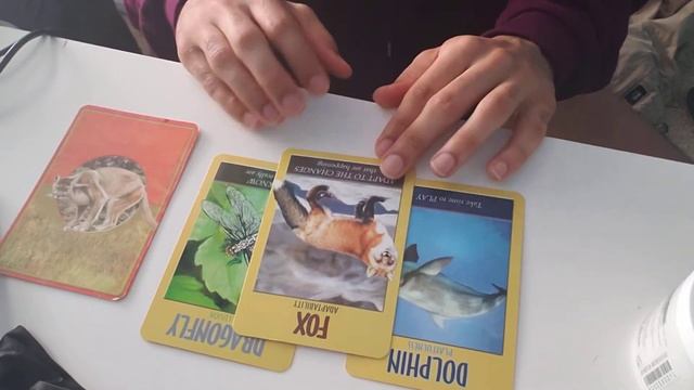 Collective Energy Reading Oracle Cards. Month of March смотреть онлайн
