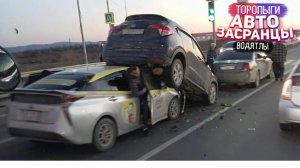 Гоняют как летом! Торопыги и Водятлы Осенний Сезон