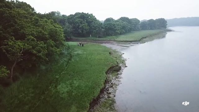 Hows kayak bivvy 25/6/18 смотреть онлайн