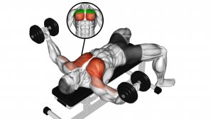 5 лучших упражнений на верхнюю часть грудных мышц: Пробейте грудные мышцы