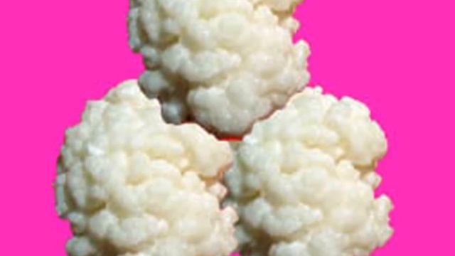 Тибетский Молочный Гриб Польза И Вред. Полезные Свойства Молочного Гриба смотреть онлайн