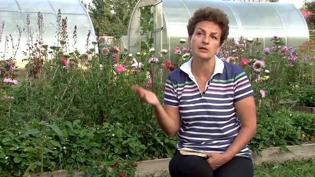 Вся правда о Тибетской малине.