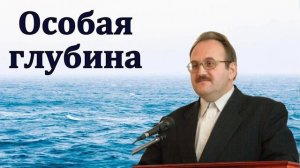 «Особая глубина». В. Н. Чухонцев. МСЦ ЕХБ