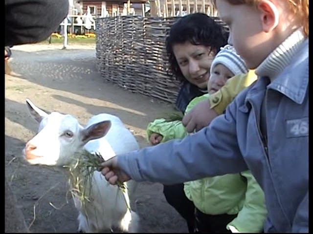 ч6 смотреть онлайн