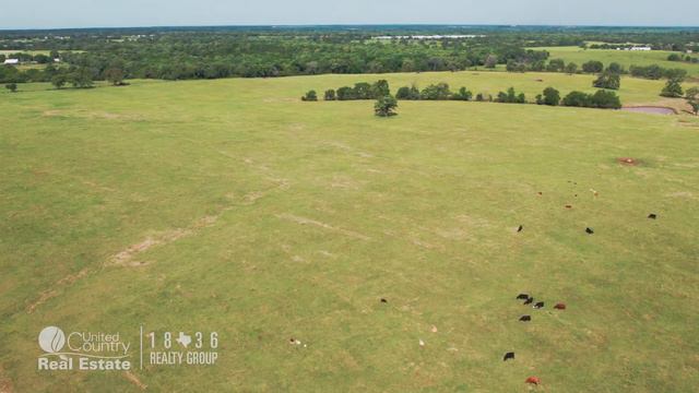 85+ acre Ranch in Robertson County, Texas смотреть онлайн