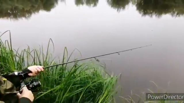 Щука на Поксале 🐟🦈 смотреть онлайн