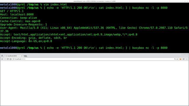 Netcat Webserver Tutorial 3 Embedding Images and Sounds смотреть онлайн