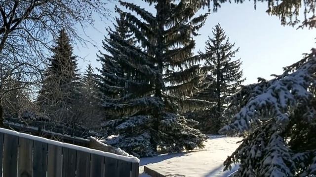 Быт в Калгари, Альберта, Канада смотреть онлайн