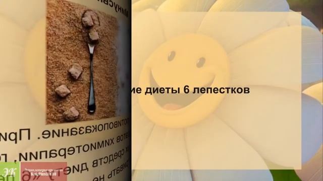 Диета «6 лепестков» Всё о том как похудеть смотреть онлайн