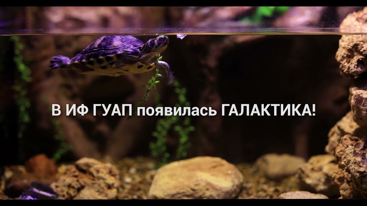 Событие! Галактика в ИФ ГУАП.