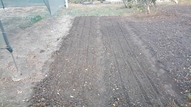 ДОМ НА ЮГЕ. ДЕРЕВЕНСКИЕ ХЛОПОТЫ. ПОСАДКА ЧЕСНОКА. ПРО СИДЕРАТЫ. смотреть онлайн