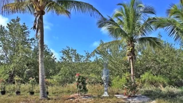 Private Island For Sale - Ballast Key - Key West Real Estate смотреть онлайн