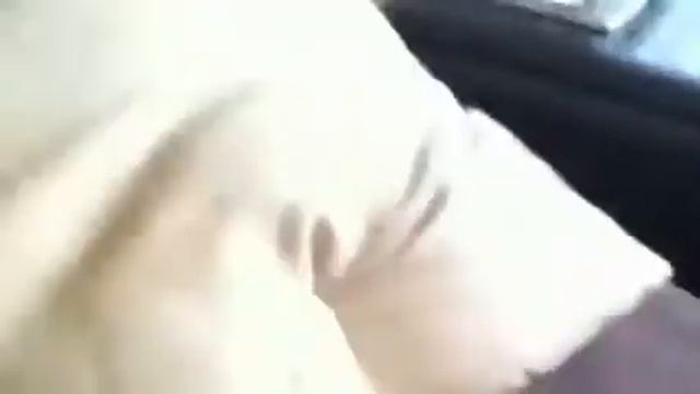 Kitty squeaks :D смотреть онлайн