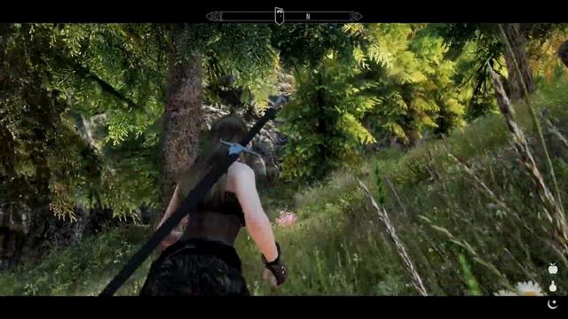 Skyrim SE - Imaginarium ENB смотреть онлайн