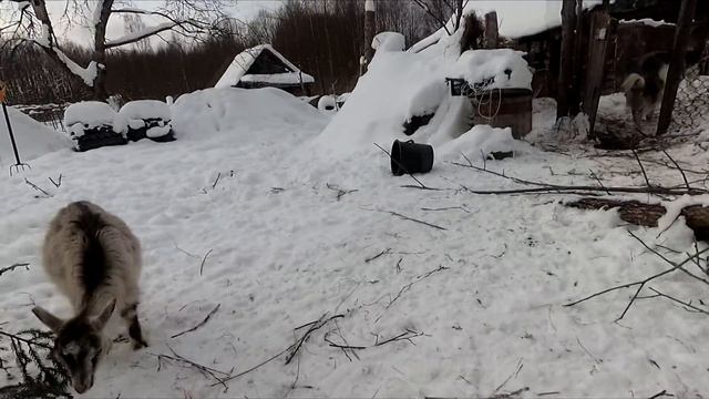 Все! Сена нет!