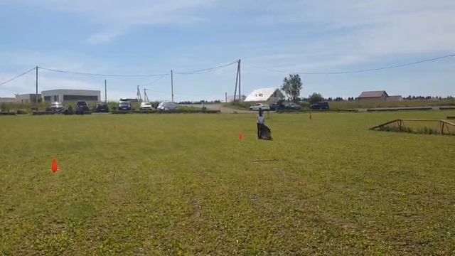 2.  имеется/перв SHABARDHOF ILHAN BRUNO (Targaryen Wilcza Horda-Team – Shabardhof Aureliya)