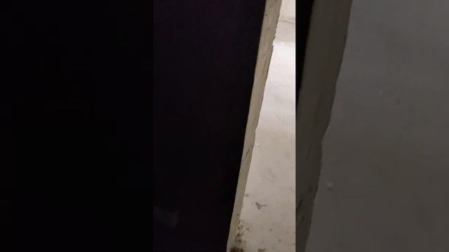 Анаполис смотреть онлайн