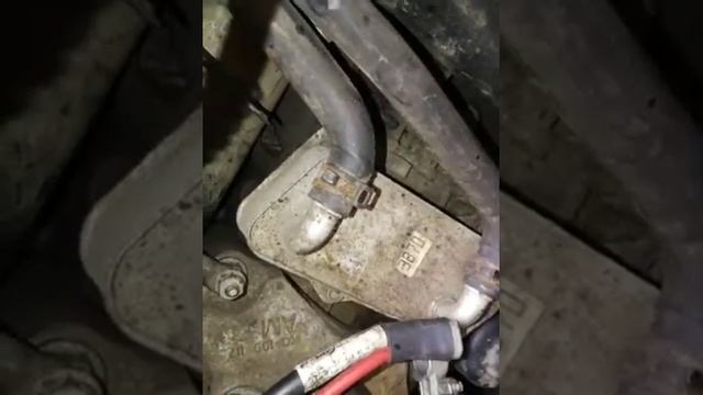 Течь масла дсг 6