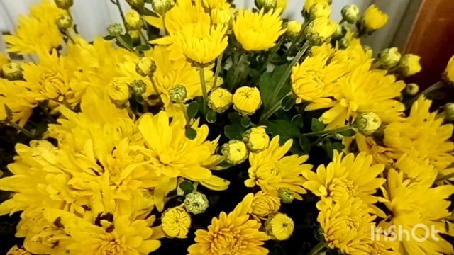 27 сентября День Воспитателя Красивое пожелание поздравление С Праздником смотреть онлайн