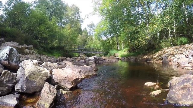 Расслабляющий Звук Воды - 1 Час Звуков Природы для Релаксации - Пение Птиц - Медитация. смотреть онлайн
