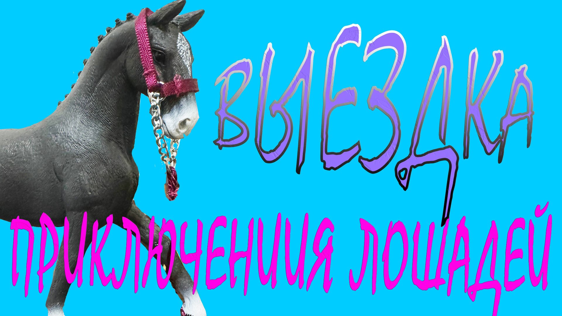 Приключение лошадей, 5 часть, Выездка