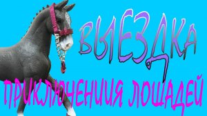 Приключение лошадей, 5 часть, Выездка