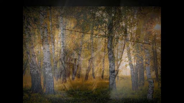 Олег мошников "Небесный корабль" . Читает Юрий Тихомиров. смотреть онлайн