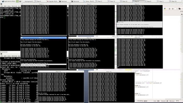 P2P Circular DHT смотреть онлайн