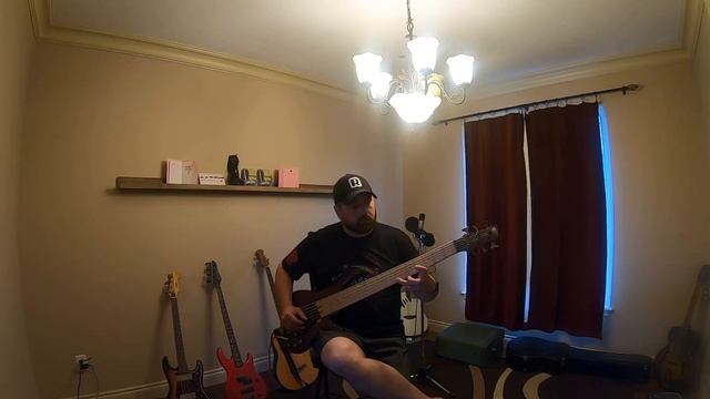 Playing the Ibanez SR 506 with the loop machine. Slow and sappy смотреть онлайн