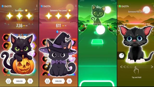 CUTE CAT THUNDER & CUTE DOG MAROON 5 SUGAR & CUTE CAT DANCE MONKEY & CUTE DOG LADY GAGA BLOODY MARY