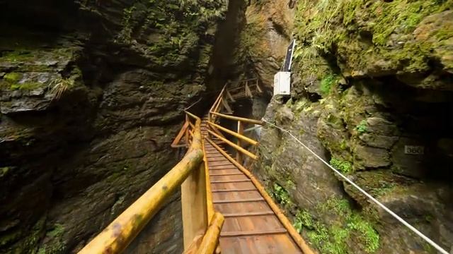 Raggaschlucht Scenic Gorge Walk Hohetauern Austria 8K смотреть онлайн