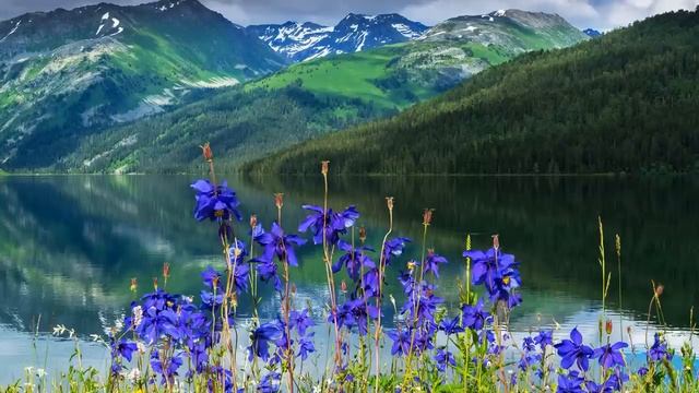 Истории из жизни Она возмущалась: "Ты что, не пустишь мать в дом?". Жизненные истории рассказы смотреть онлайн