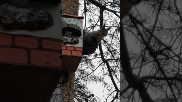 Велес-младший весь в отца. Всегда недоволен смотреть онлайн