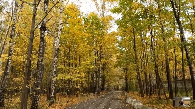 Приняв завещание немой технички, нотариус замер, увидев у нее браслет невесты, погибшей 10 лет наза смотреть онлайн