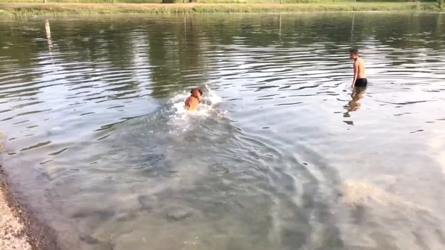 Собачий день у Ричи) смотреть онлайн