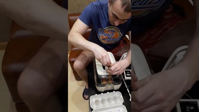 Закладка яиц Брама смотреть онлайн