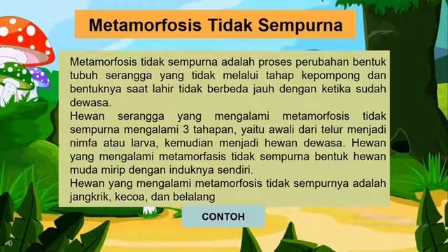 Media Pembelajaran PPT Interaktif | IPA (Metamorfosis) | kelas 4 смотреть онлайн